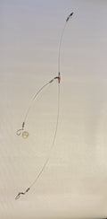 Bait Rig