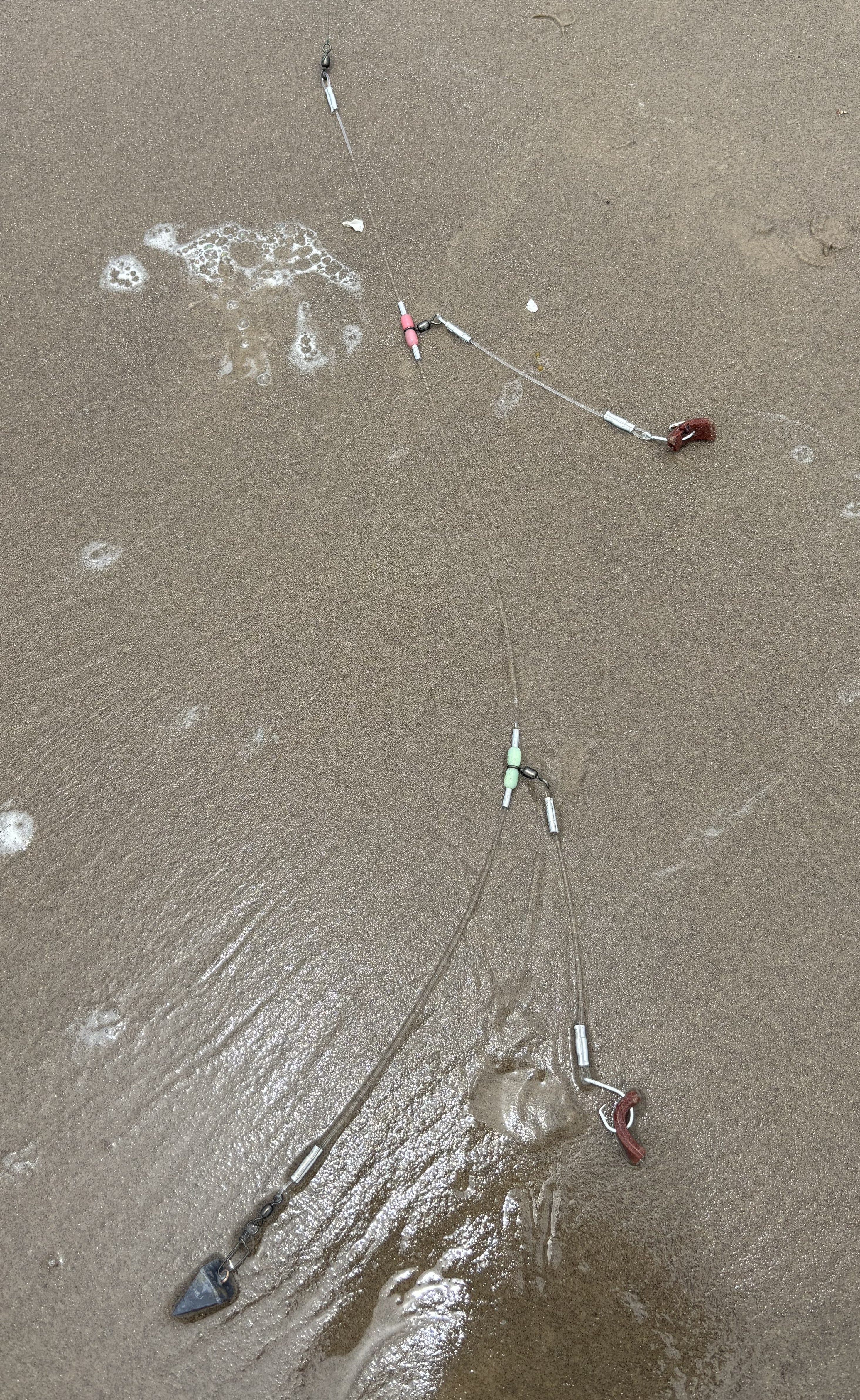 Bait Pro